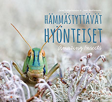 ISBN 97895292911179.jpg